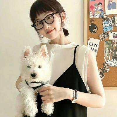 史酷比!格斗狂热迷 封面
